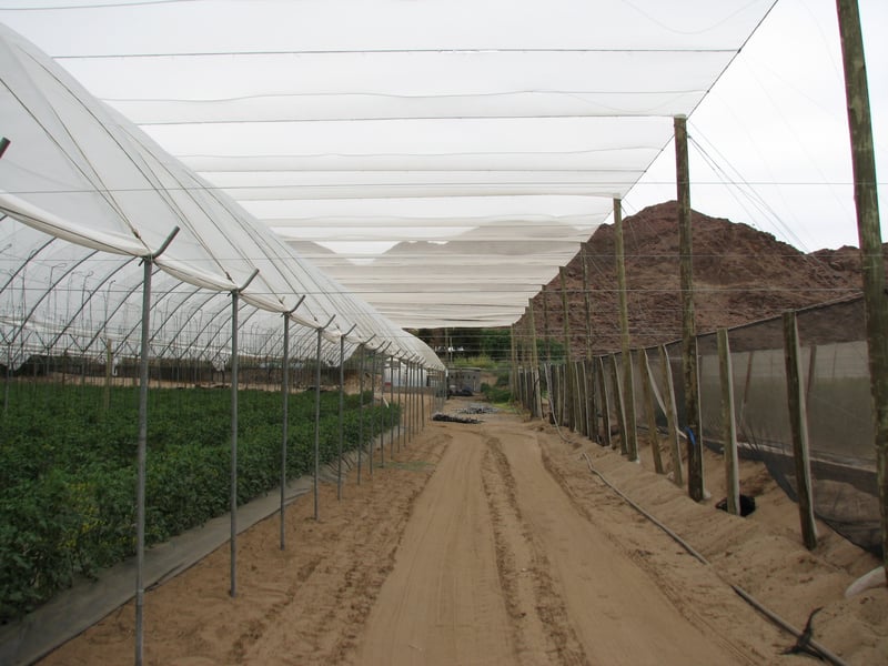 Alnet Agri Shadecloth Projects preview 7